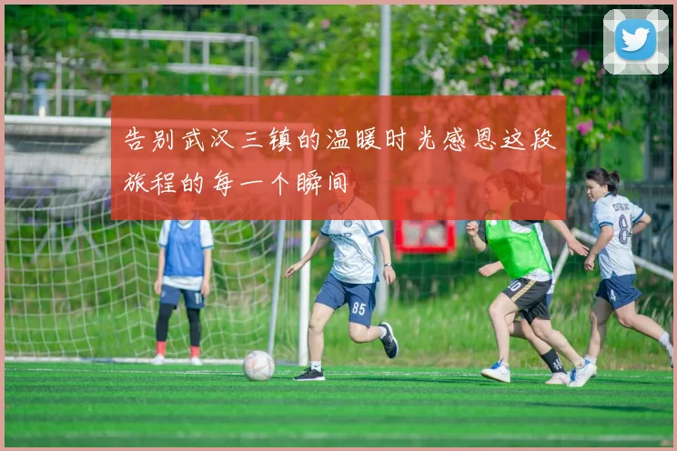 告别武汉三镇的温暖时光感恩这段旅程的每一个瞬间