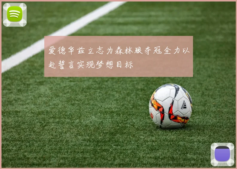 爱德华兹立志为森林狼夺冠全力以赴誓言实现梦想目标