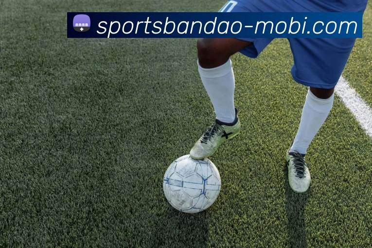 半岛体育服务体系